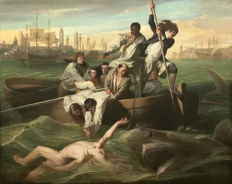 왓슨과 상어 작품 이미지