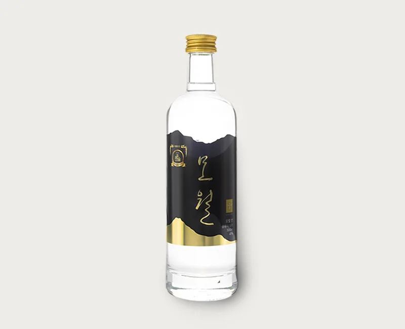 모월 인 41도