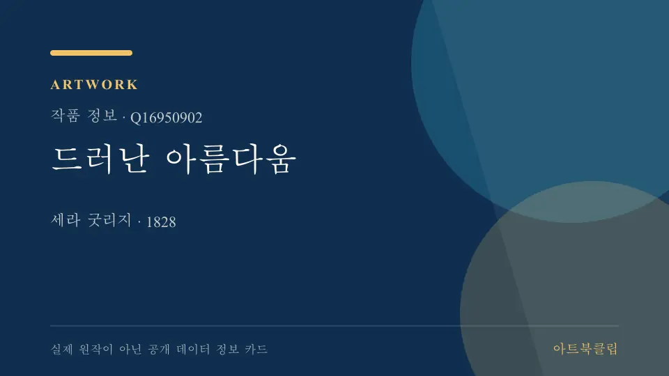 드러난 아름다움의 확인된 기초 정보를 정리한 아트북클립 정보 카드