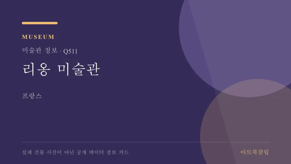 리옹 미술관의 확인된 기초 정보를 정리한 아트북클립 정보 카드